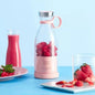 Home Basics Co. Portable Juicer Blender-350ml Mini Smoothie Makers, Multifunctional Personal Jug Blenders with USB Rechargeable, Washable Fruit Juice Mixer, Electric Juice Blender (ME )